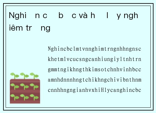 Nghiện cờ bạc và hệ lụy nghiêm trọng