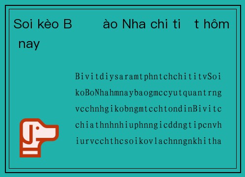 Soi kèo Bồ Đào Nha chi tiết hôm nay