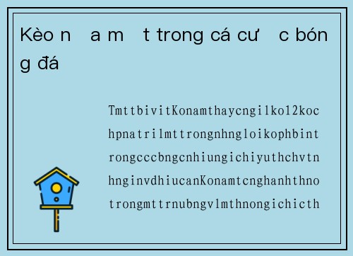 Kèo nửa một trong cá cược bóng đá